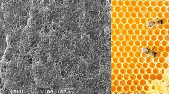 epp发泡聚丙烯的显微结构，可以看到这是种连续闭孔结构，类似于蜂窝